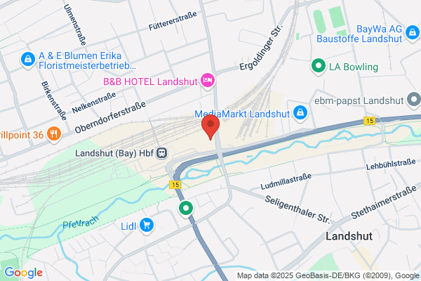 Ibis Landshut city