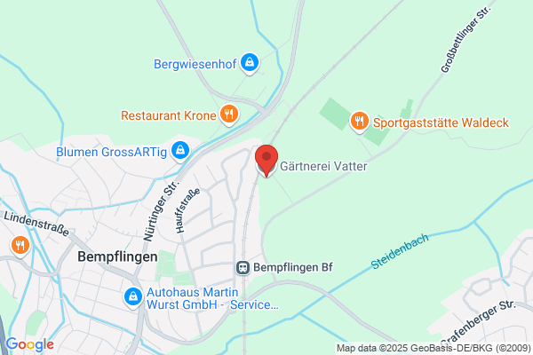 VATTER Blumen und Pflanzen, Bempflingen