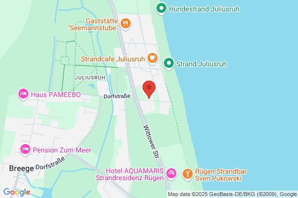 Stranddistel Juliusruh