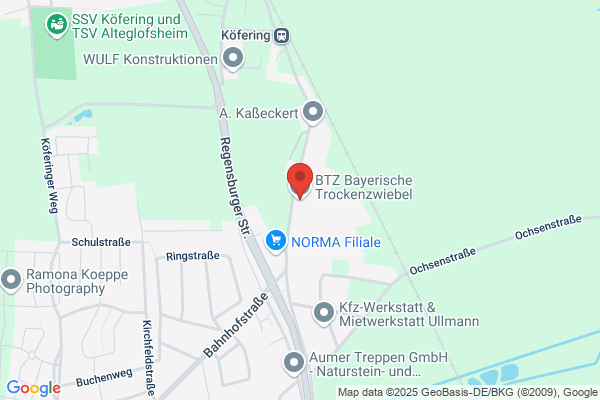 BTZ Bayerische Trockenzwiebel GmbH