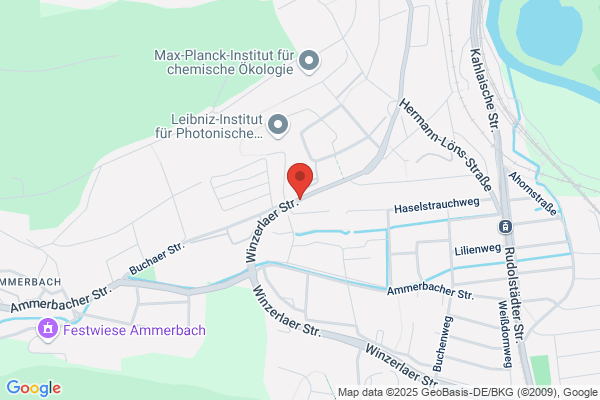 Grüne Aue
