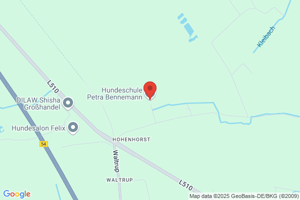 Petra Planeck