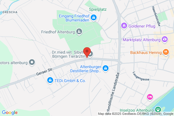 A.B.G. Fahrschule UG