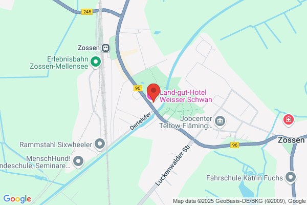 Weißer Schwan