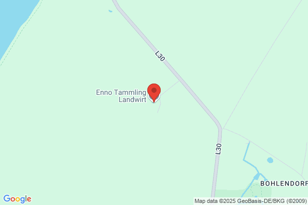 Enno Tammling