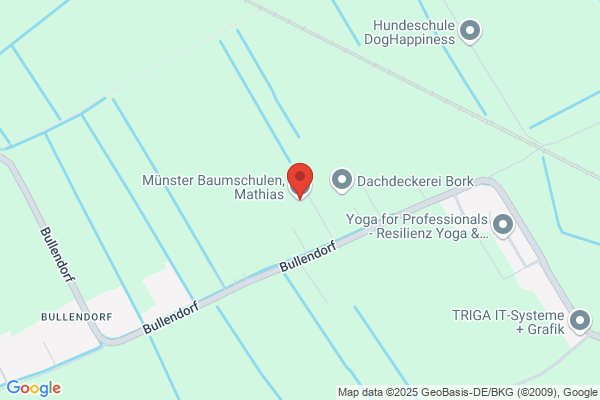 Münster Baumschulen, Mathias