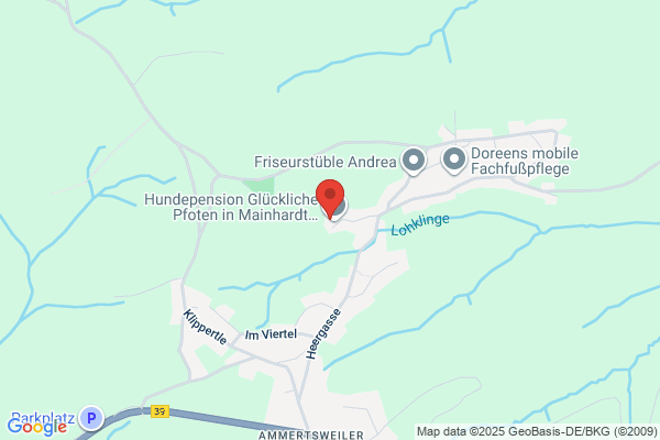 Hundepension-Polarlichter