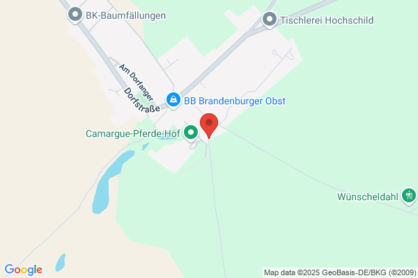 Pferdetdtoschke