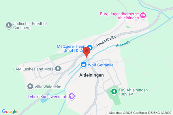 Erst.Ludwigshaf.Reinigungsinst