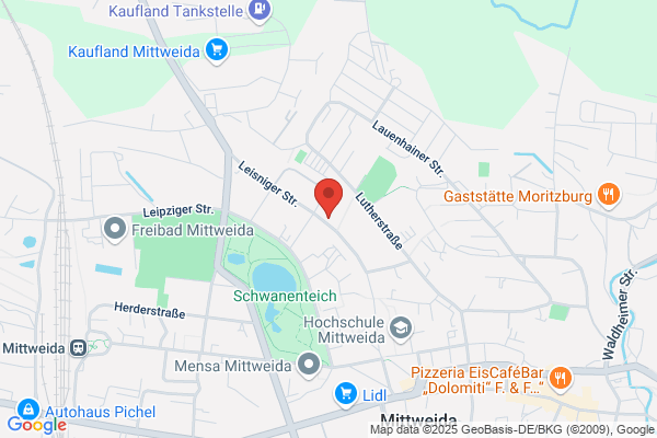 Agentur Gelfort
