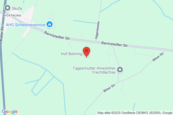 Bühring Bau- und Wärmedämmung GmbH