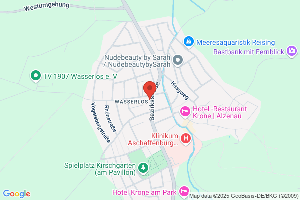 Elke Fisch