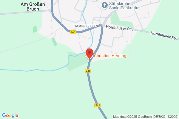 Christine Herning