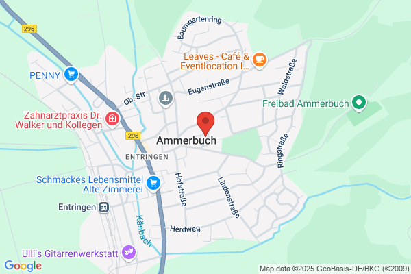 Musikschule Ammerbuch e.V.