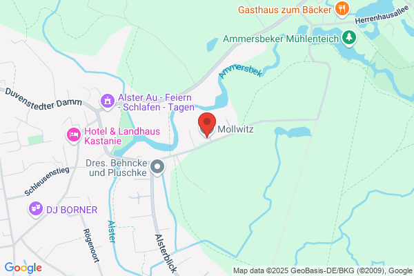 Mollwitz Massivbau GmbH