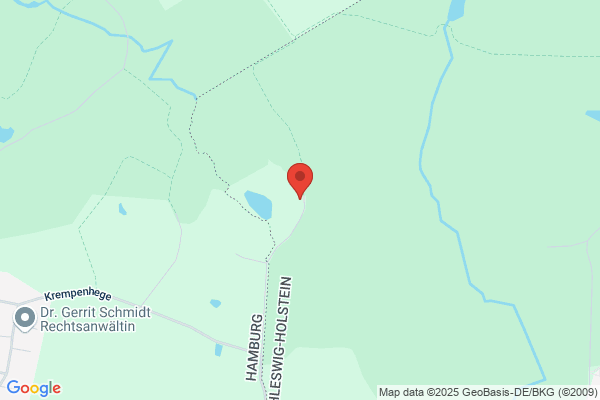 Visionäre Osteopathie für Pferde und Akademische Reitkunst