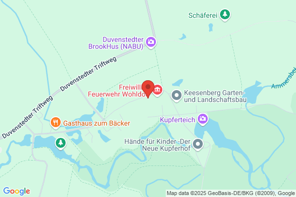Baumplan