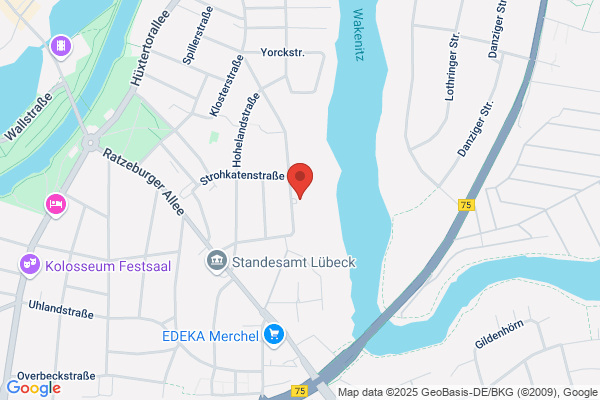 H. J. Leyer