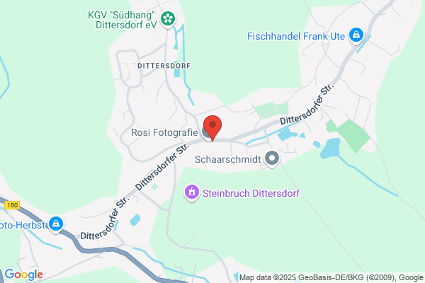 Dunkelwald UG (haftungsbeschränkt)