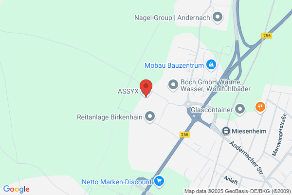 ASSYX GmbH & Co. KG