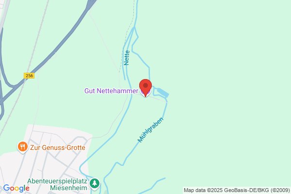 Gut Nettehammer
