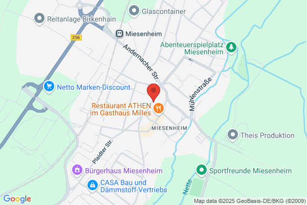 Gesund auf vier Pfoten
