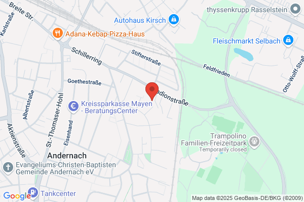 Schäfer Rüdiger Supervisor DGSv
