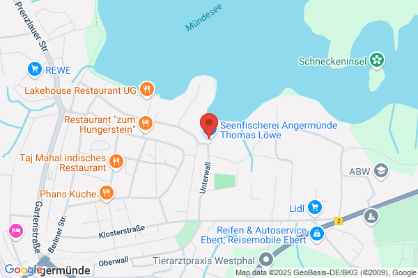 Seenfischerei Angermünde Thomas Löwe