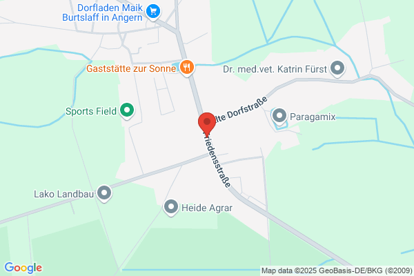 Zahnärztin - Friederike Eichstädt