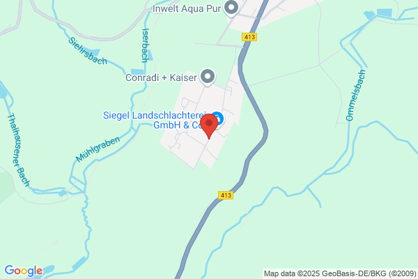 Walter Gschiel