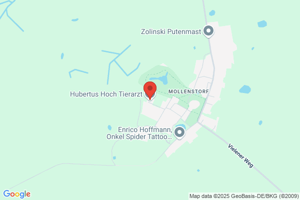 Hubertus Hoch