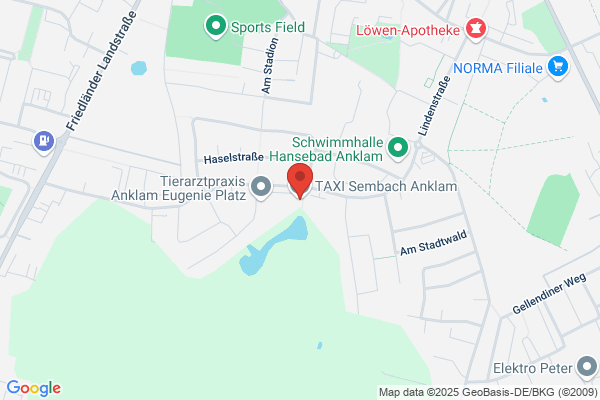 Sembach-Taxi Guido