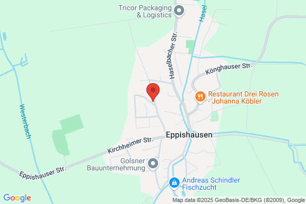 Delwi GmbH