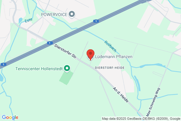 Lüdemann Pflanzen GmbH