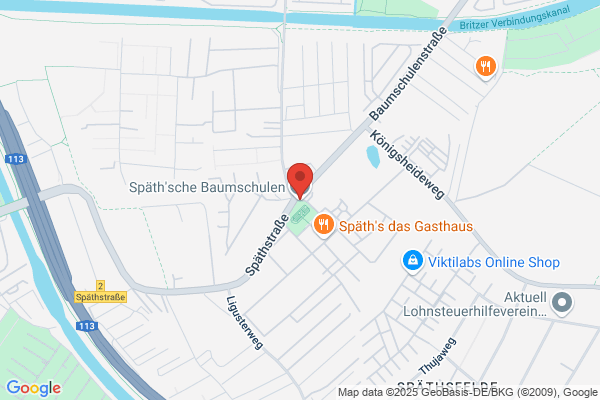 Thies Walter Baumschule