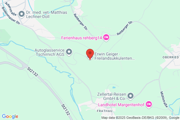 Theo Geiger