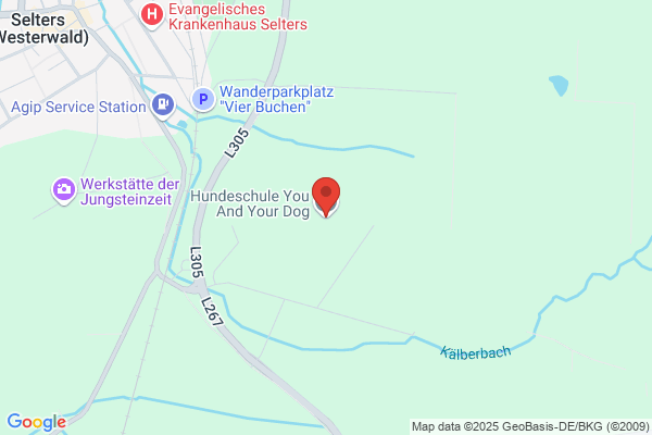 Hundeschule You And Your Dog