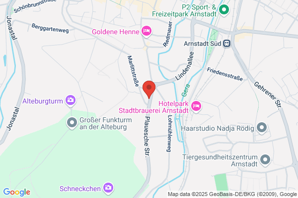 Steakhaus u. Pension Zum Ritterstein