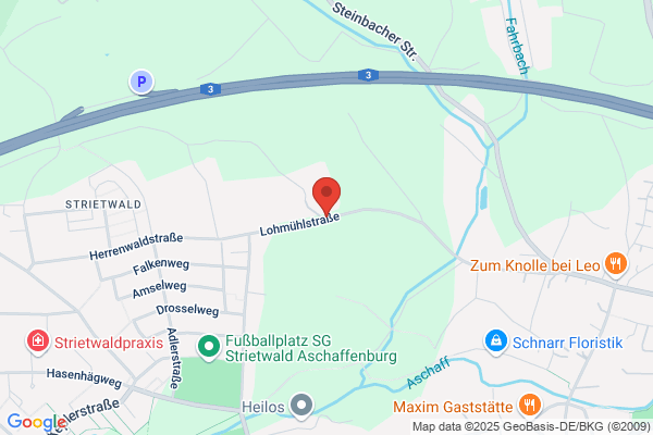 Hundetagesbetreuung Aschaffenburg
