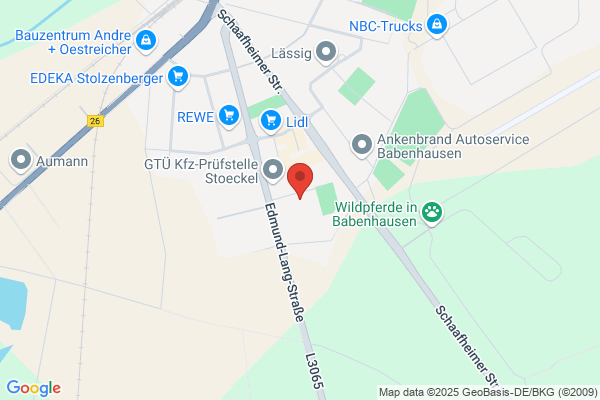 Iw Gussputz GmbH