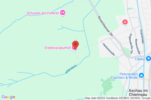 Stein GmbH