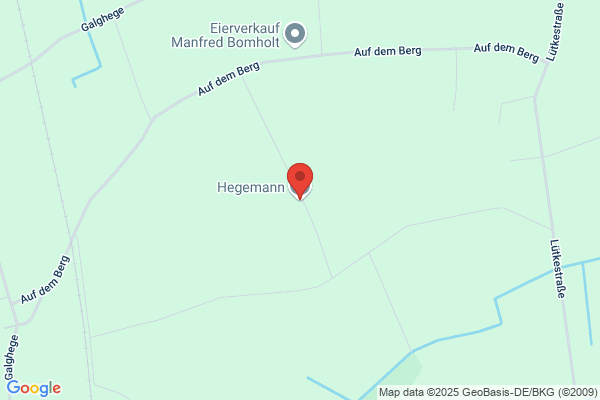 Högemann