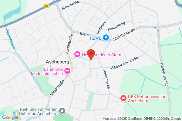 Dr.rer.nat. Konrad Theiler