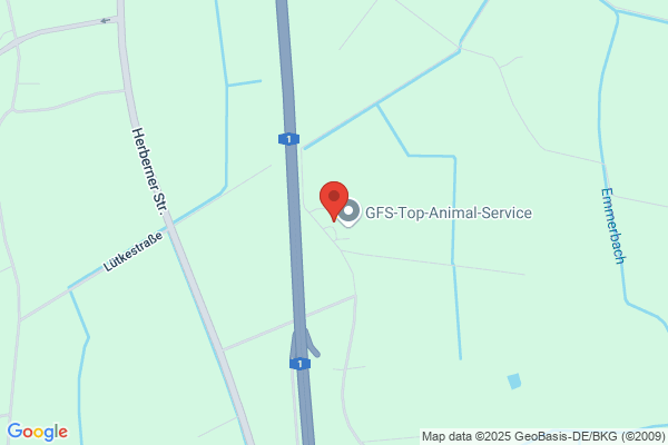GFS Genossenschaft zur