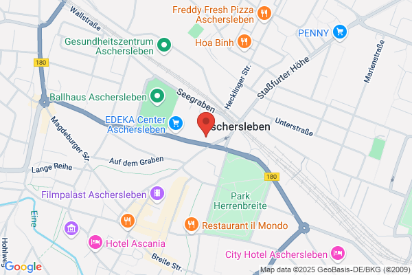 Scheiben-Profi