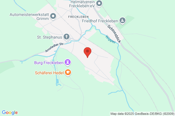 Hohmanns Blumendiscounter Inh. Kai Steimel