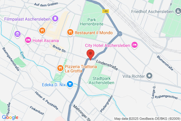 Schnittblumen & Topfpflanzen Handels GmbH Floristik 99