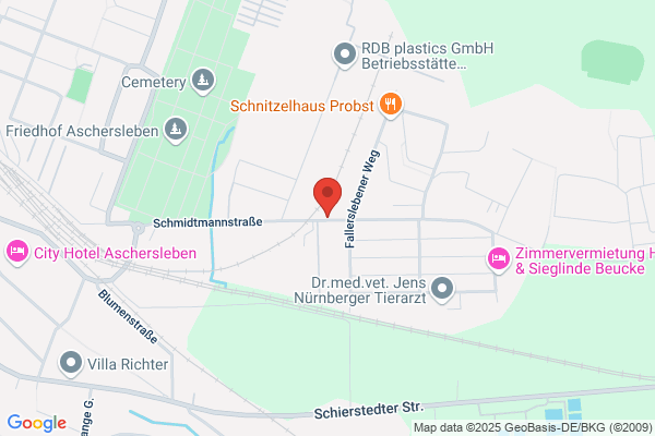 Die Dentaldesigner