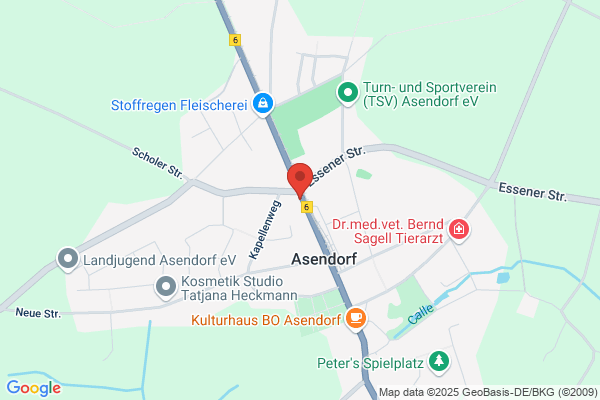 Die Überflieger