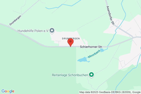 Schierhorn-dental GmbH & Co KG